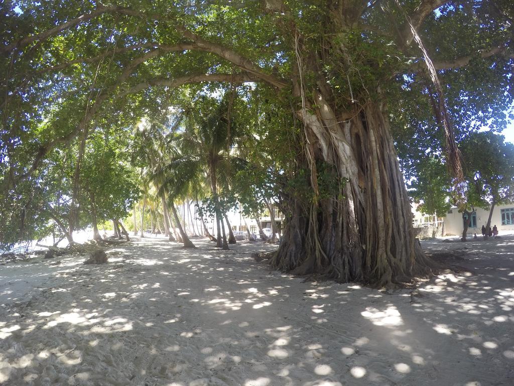 Maldives Seashine Hotel Huraa Exterior photo